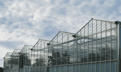 A row of aluminium greenhouses.