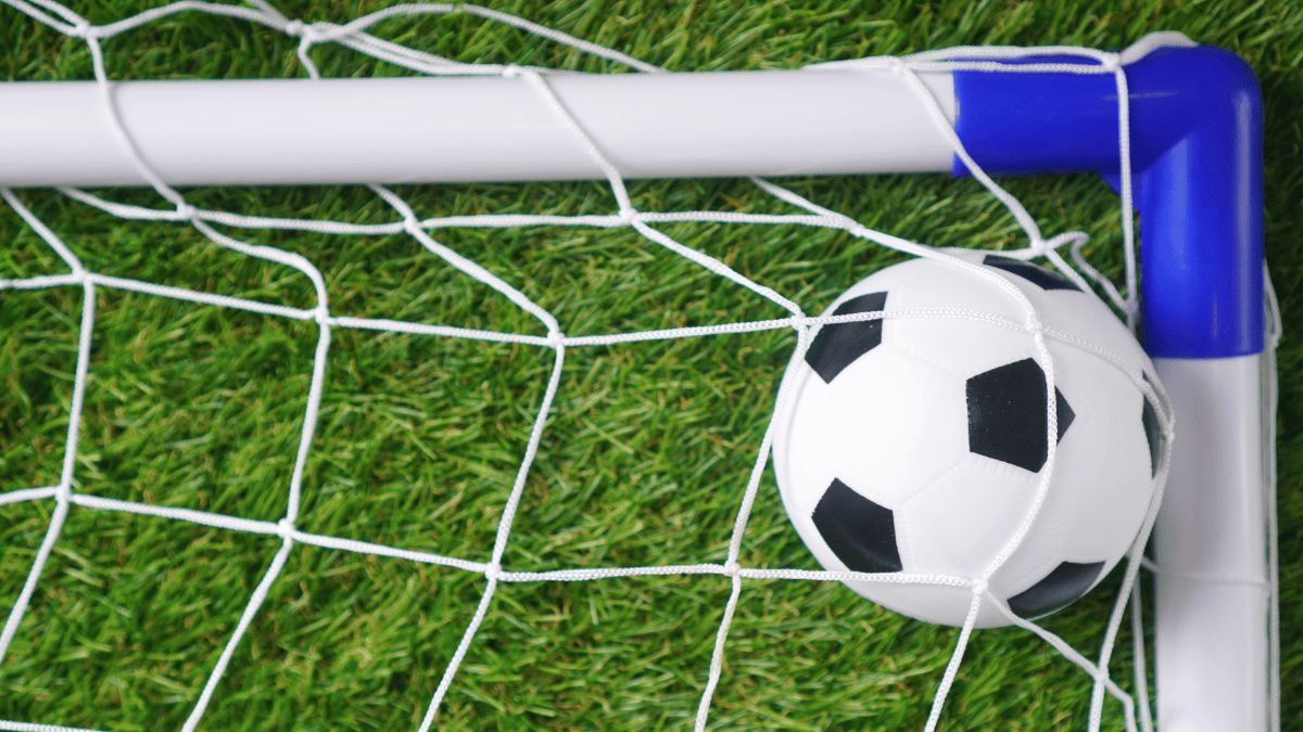 Plastic Injection Moulding Parts on Goal Post